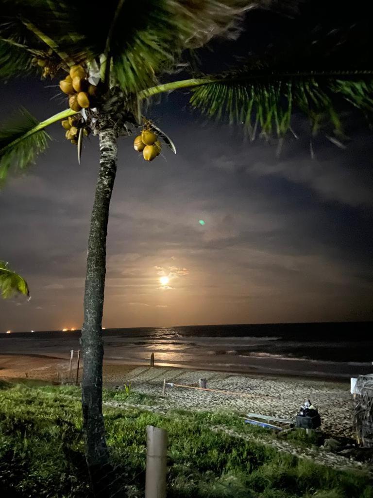Ancorar Resort Beira-Mar De Pôrto das Galinhas Exteriér fotografie